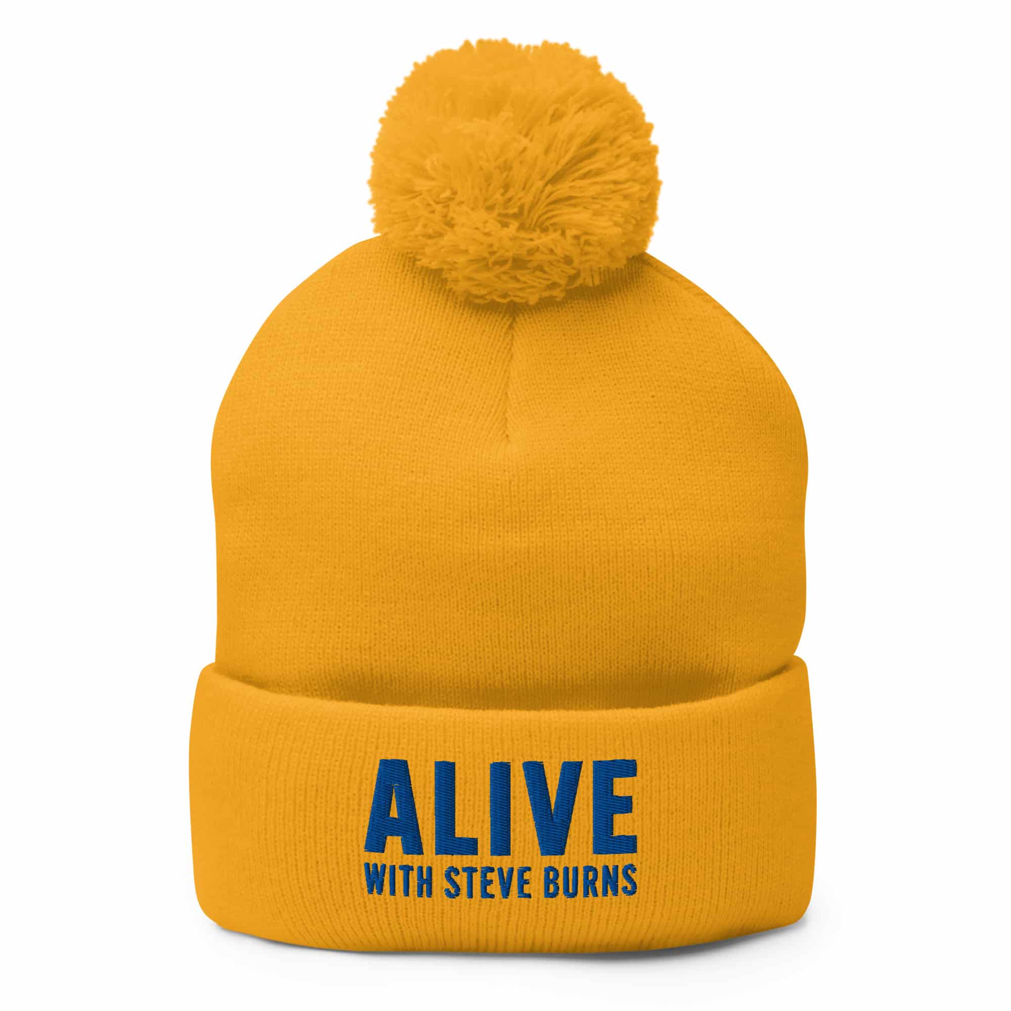 Alive with Steve Burns Pom-Pom Beanie - Image 4