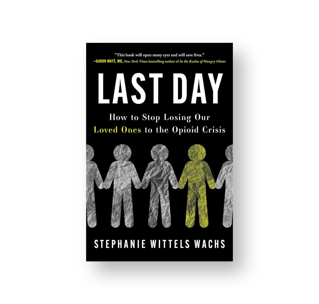Last Day by Stephanie Wittels Wachs book cover